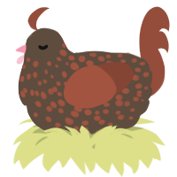 A bark and russet chicken with a speckle pattern