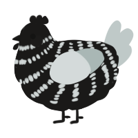 A sable and silver chicken with a bar pattern
