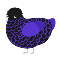 A sable and indigo chicken with a lace pattern