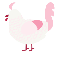 A white and rose chicken with a lace pattern