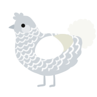 A mist and white chicken with a lace pattern