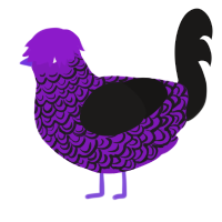 A violet and sable chicken with a double-lace pattern