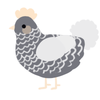 A ash and black chicken with a lace pattern