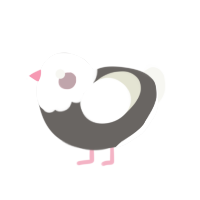 Dove, a grey and white chicken with a head pattern