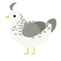 A white and ash chicken with a half-lace pattern