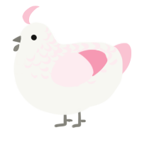 A white and rose chicken with a half-lace pattern