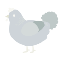 A mist and silver chicken with a neck-band pattern