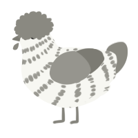 A white and ash chicken with a bar pattern
