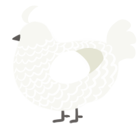 A white chicken with a lace pattern