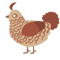 A beige and russet chicken with a lace pattern