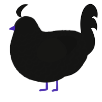 A black chicken with a lace pattern