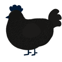 A black and sable chicken with a double-lace pattern