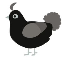 A black and grey chicken