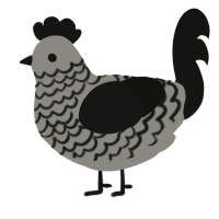 A ash and black chicken with a lace pattern