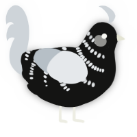 A black and mist chicken with a half-bar pattern