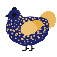 A navy and honey chicken with a speckle pattern