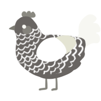 A grey and white chicken with a lace pattern