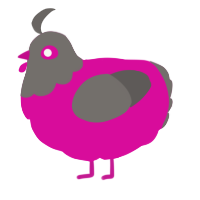 A fuchsia and grey chicken with a head pattern