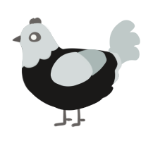 A sable and silver chicken with a head pattern
