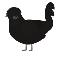 A sable chicken with a head pattern