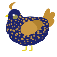 A navy and gold chicken with a speckle pattern