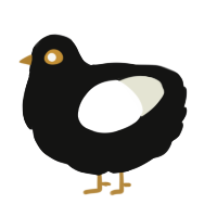 A black and white chicken