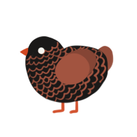 (unnamed), a sable and russet chicken with a lace pattern