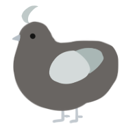 A grey and silver chicken