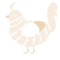 A cream chicken with a bar pattern
