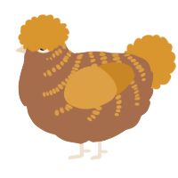 A brown and orange chicken with a half-bar pattern