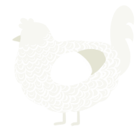A white chicken with a double-lace pattern