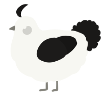 A white and sable chicken