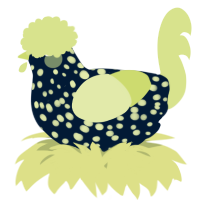 A tumblr and lemon chicken with a speckle pattern