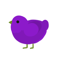 Peroni, a violet chicken with a head pattern