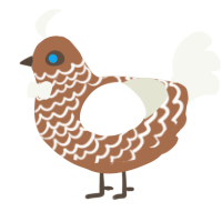 A brown and white chicken with a lace pattern