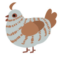 A silver and brown chicken with a bar pattern