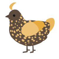 A bark and honey chicken with a speckle pattern