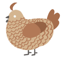 A beige and brown chicken with a lace pattern