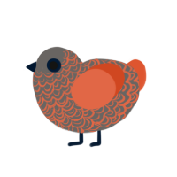 Firebrand, a grey and vermilion chicken with a double-lace pattern