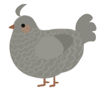 A ash chicken with a lace pattern