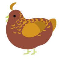 A russet and ochre chicken with a half-lace pattern