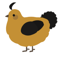 A gold and sable chicken