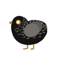 Hypnotize, a black and grey chicken with a half-lace pattern