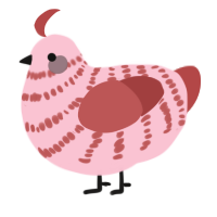 A rose and red chicken with a bar pattern
