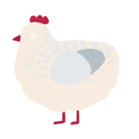 A cream and mist chicken with a half-lace pattern