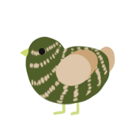 Aspen, a olive and beige chicken with a bar pattern