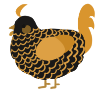 A sable and orange chicken with a lace pattern