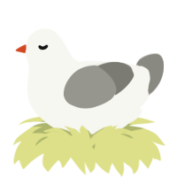 A white and ash chicken