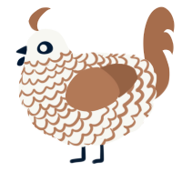 A white and brown chicken with a lace pattern