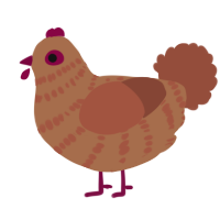 A brown and russet chicken with a bar pattern